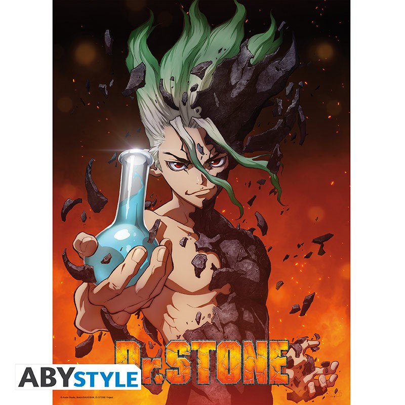  ABYstyle - HUNTER X HUNTER - Hisoka Poster (52 x 38 cm