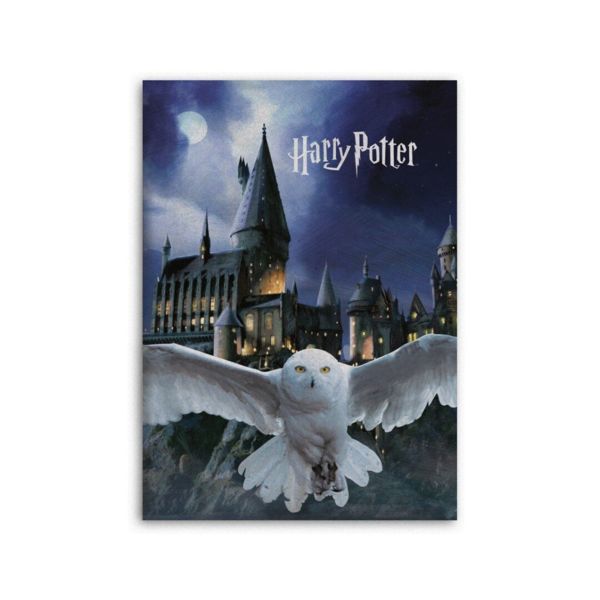 Hedwig & Hogwarts Fleece Blanket 70 x 140 cms
