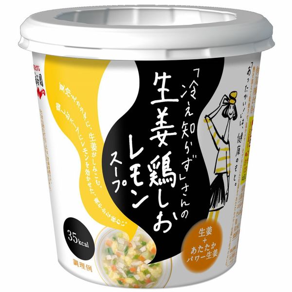 Ramen Noodles de Pollo y Jengibre Nagatanien Ramen Noodles de Pollo y Jengibre Nagatanien