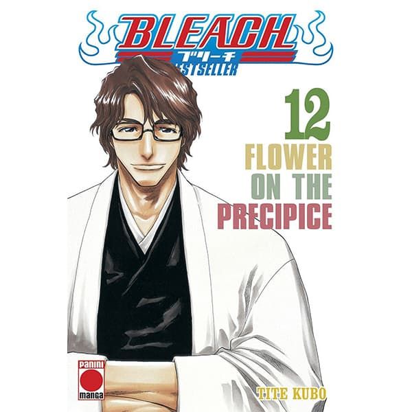Manga Bleach Bestseller #12