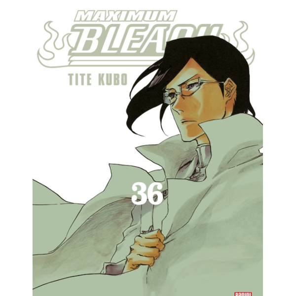 Manga Bleach Maximum #36