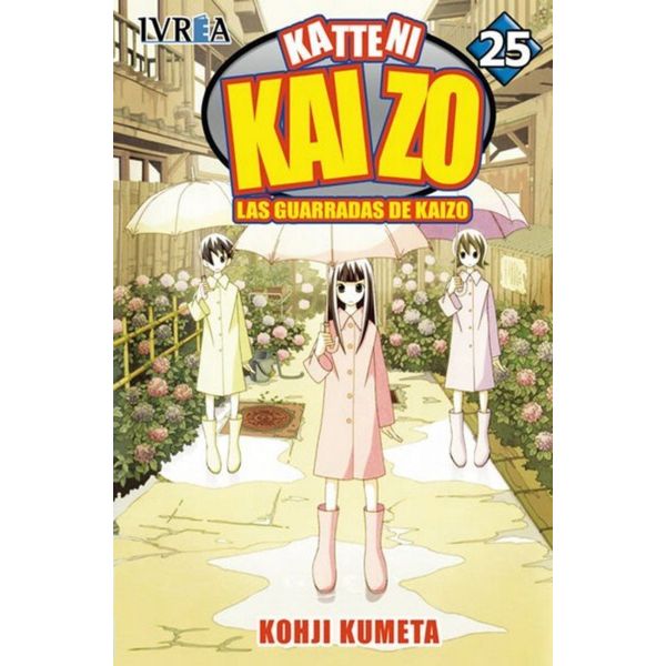 Katteni Kaizo #25 Manga Oficial Ivrea (Spanish)