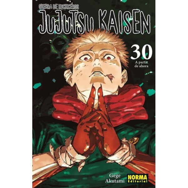 Manga Jujutsu Kaisen - Guerra de Hechiceros #30