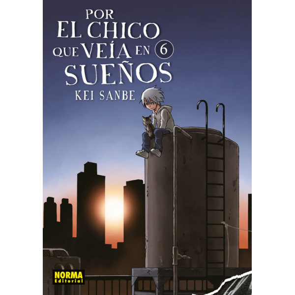 Por el chico que veía en sueños #06 Spanish Manga
