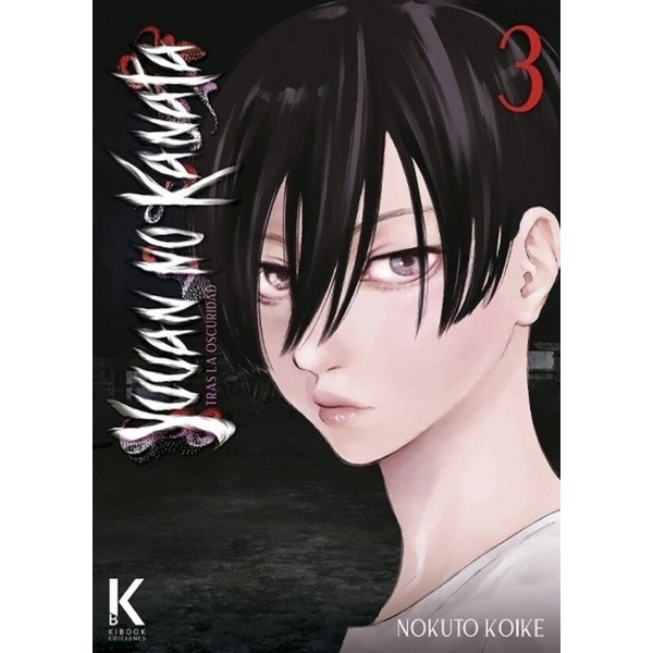 Yuuan no Kanata: Tras la oscuridad #03 Spanish Manga