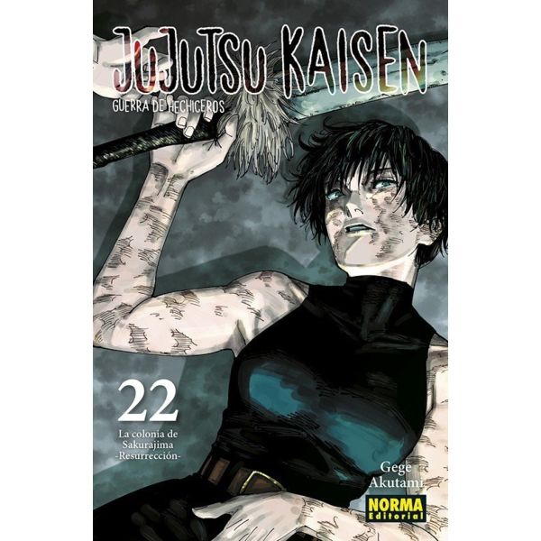  Jujutsu Kaisen #22 Spanish Manga 