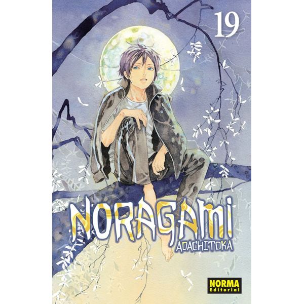Noragami #19 Manga Oficial Normal Editorial