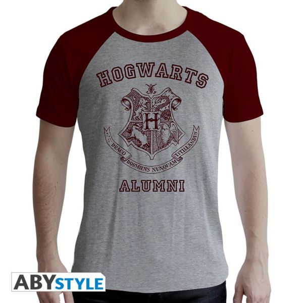 Camiseta Alumno Hogwarts Hombre Harry Potter