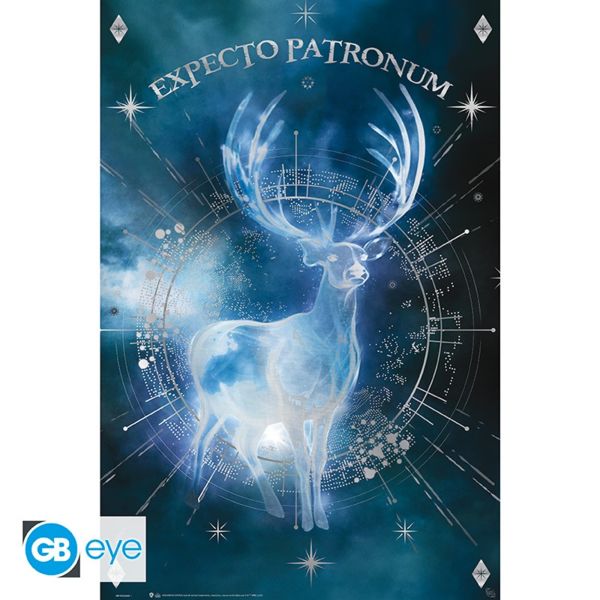 Poster Expecto Patronum Harry Potter 91,5 x 61 cms