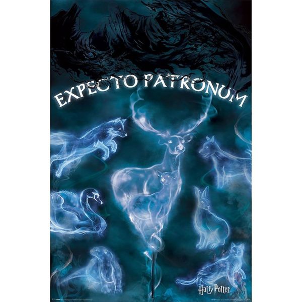 Poster Expecto Patronus Harry Potter 61 x 91 cms