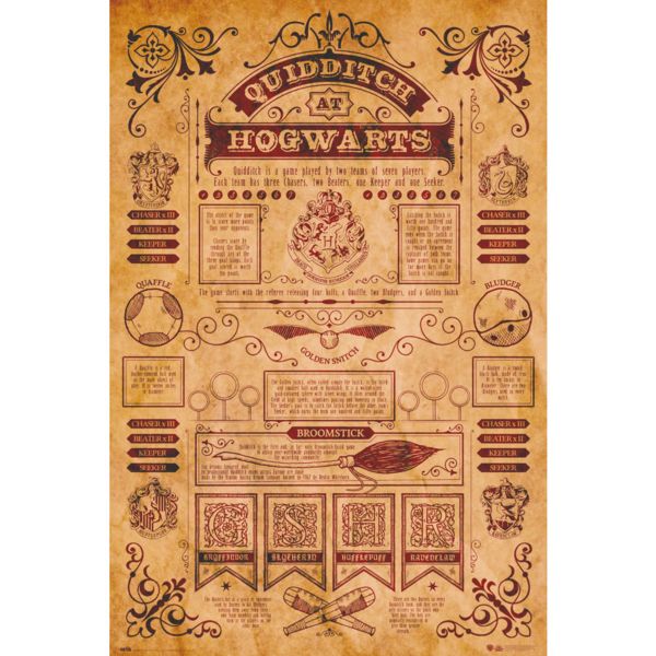 Poster Harry Potter Quidditch at Hogwarts 91,5 x 61 cms