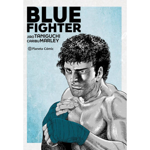 Blue Fighter Spanish Manga