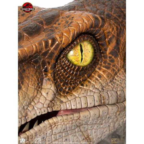 Jurassic Park Estatua tamaño real Male Velociraptor 75 cm  