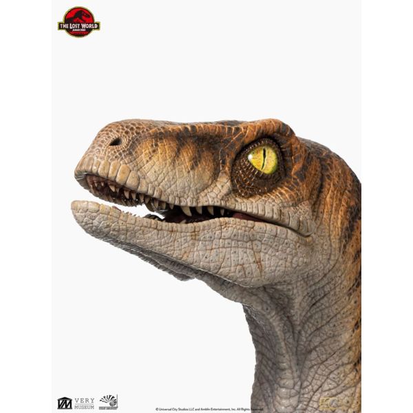 Jurassic Park Estatua tamaño real Male Velociraptor 75 cm  