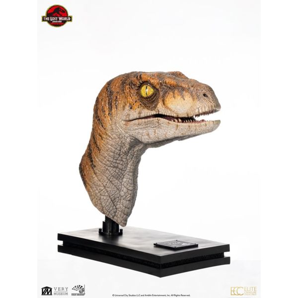 Jurassic Park Estatua tamaño real Male Velociraptor 75 cm  