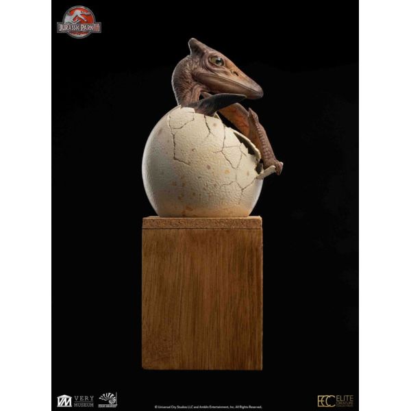 Jurassic Park ECC Elite Creature Line Estatua 1/2 Pterosaur Hatching 16 cm