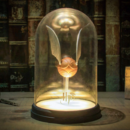 Harry Potter Golden Snitch Dome Lamp