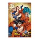 Son Goku Transformations 3D Poster Dragon Ball Super 58 x 38 cm