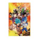 Universal Survival Heroes 3D Poster Dragon Ball Super 58 x 38 cm