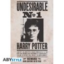 Poster Wanted Harry Potter Undesirable Nº1