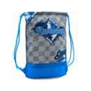 Ravenclaw Quidditch Sackpack Harry Potter