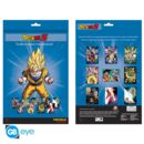 9 Pack Posters Portfolio Dragon Ball Z