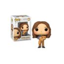 Hermione Granger & Crookshanks Harry Potter Funko POP! 167