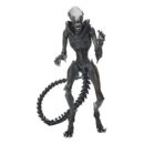 Figura Articulada Xenomorfo Chamuscado Alien: Romulus Neca Ultimate Action