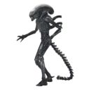 Alien: Romulus Figura Ultimate Xenomorph XX121 18 cm