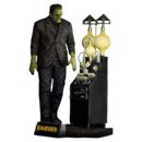 El doctor Frankenstein Maqueta Plastic Model Kit 1/8 The Monster of Frankenstein 27 cm   