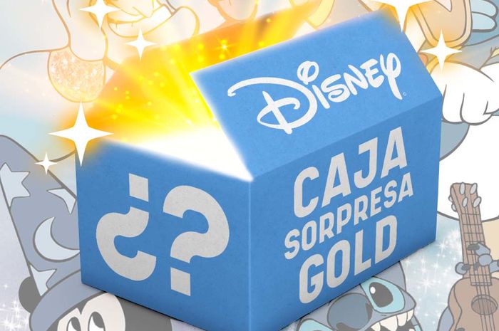 Disney Mistery Box