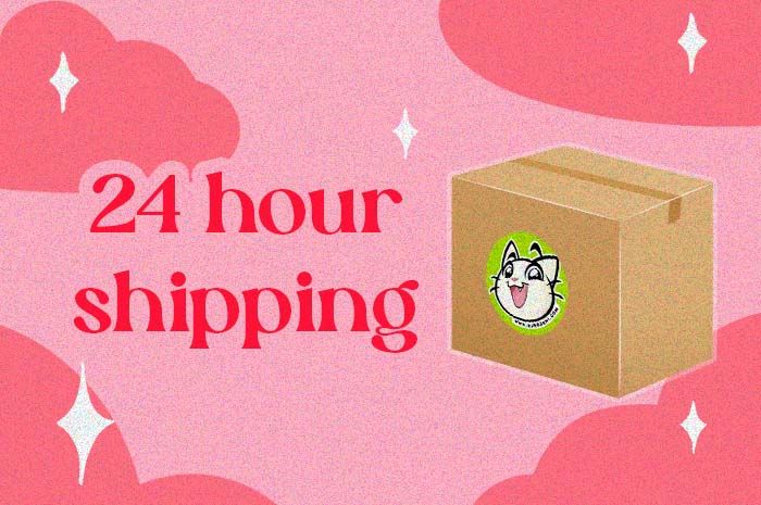 24 Hours Shipping