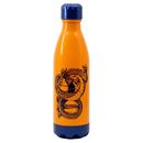 Botella Dragon Ball Kanji 660 ml