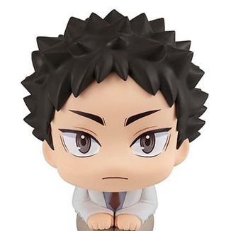 Hajime Iwaizumi Figure Haikyuu Look Up