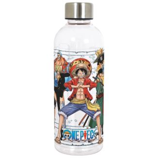 One Piece Plastic Bottle 850 ml