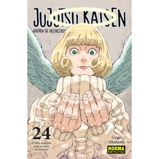 Jujutsu Kaisen - Sorcerer's War #24 Spanish Manga 