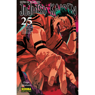 Manga Jujutsu Kaisen - Guerra de Hechiceros #25