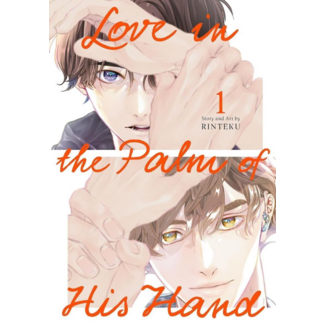 Amor en la palma de su mano #01 Spanish Manga 