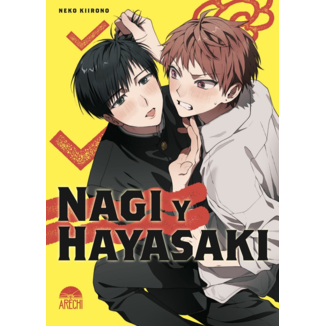 Nagi y Hayasaki Spanish Manga 