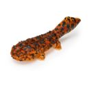 Articulated Gashapon Mexican Giant Salamander and Axolotl (Random)