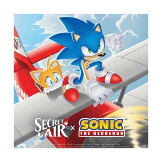 Secret Lair x Sonic: Friends and Foes Magic The Gathering (English)