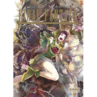 Final Fantasy: Lost Stranger #9 Spanish Manga