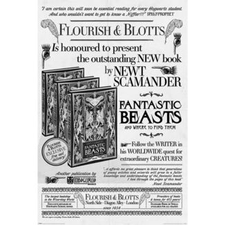 Fantastic Beasts Poster The Crimes of Grindelwald 91,5 x 61 cms