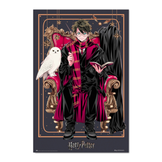 Dynasty Harry Potter Poster Harry Potter 61 x 91 cms