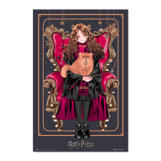 Hermione Granger Dynasty Poster 61 x 91 cms