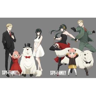 Póster Enmarcado 3D Spy x Family 23 x 28 cm