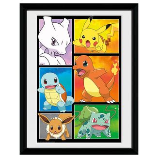 Poster Enmarcado Primera Generacion Pokemon 30,5 x 40,5 cms