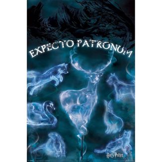 Poster Expecto Patronus Harry Potter 61 x 91 cms