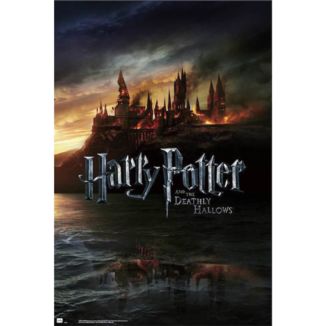 Harry Potter Poster Deathly Hallows Part 2 91,5 x 61 cms