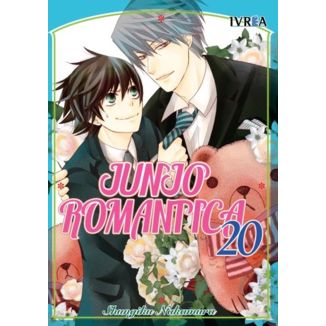 Manga Junjo Romantica #20